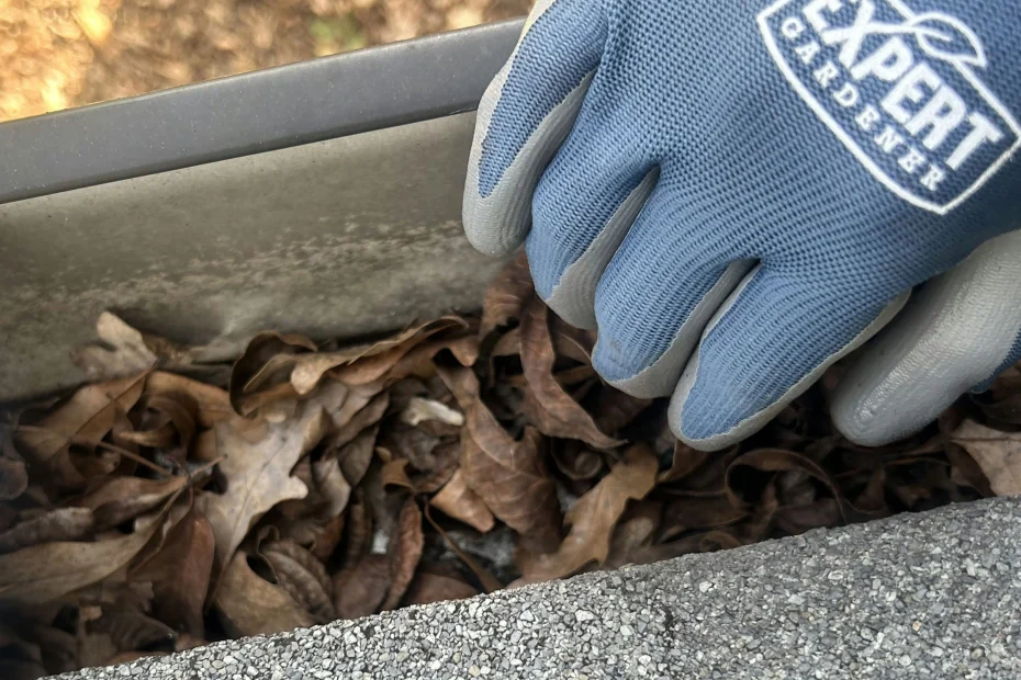 Gutter Cleaning Jupiter FL