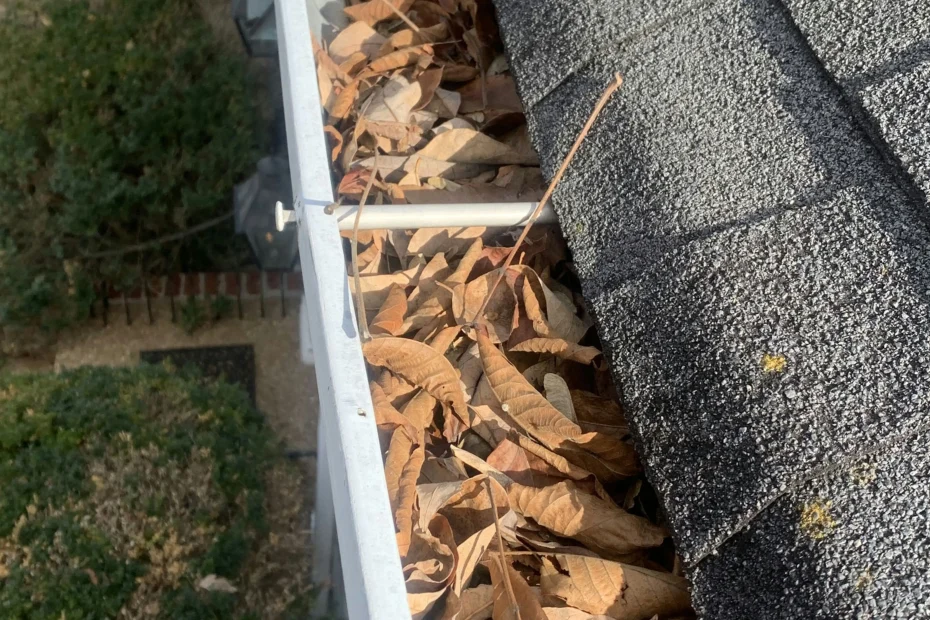 Gutter Cleaning Jupiter FL